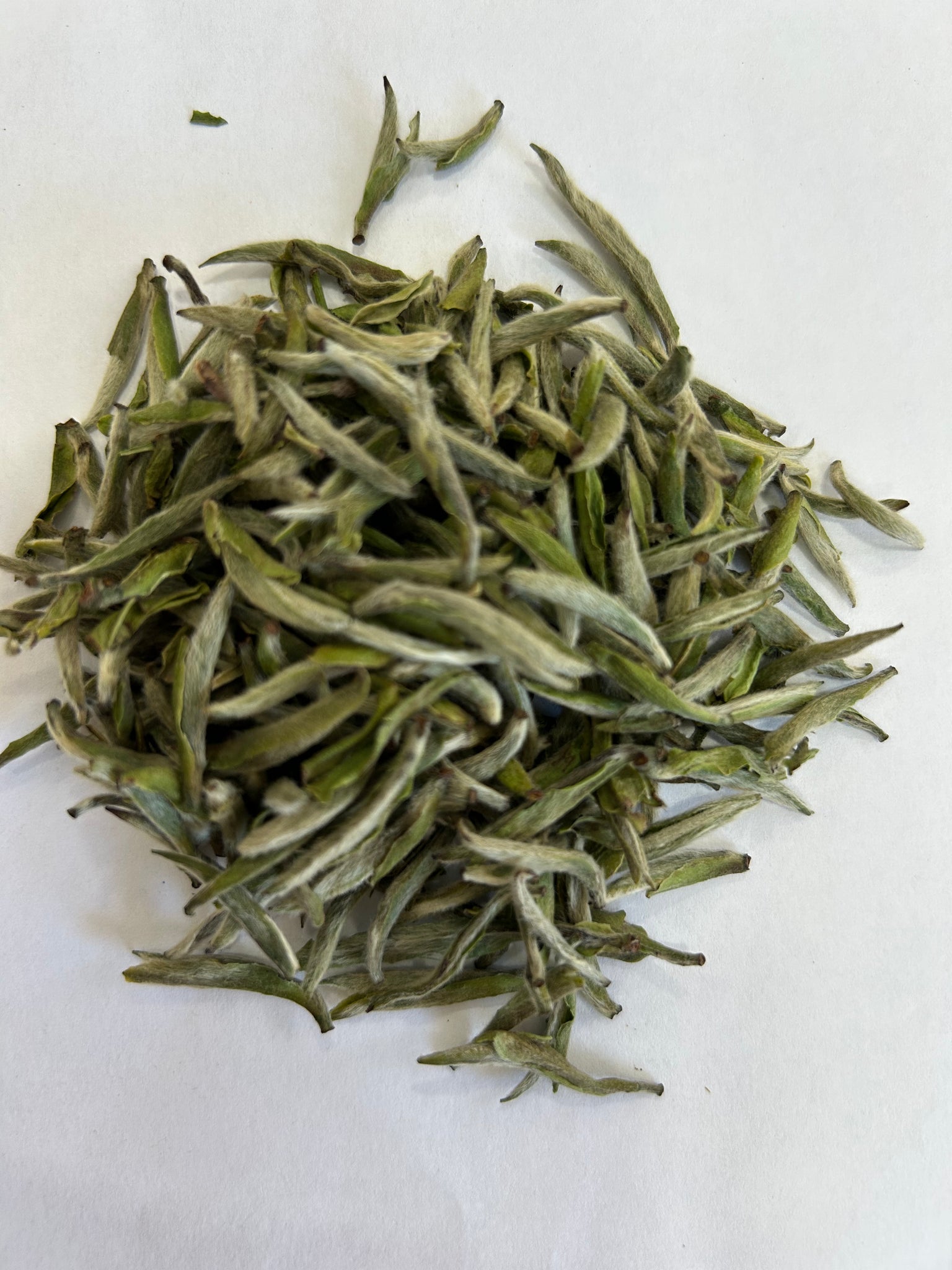 First Flush Silver Needle White Tea